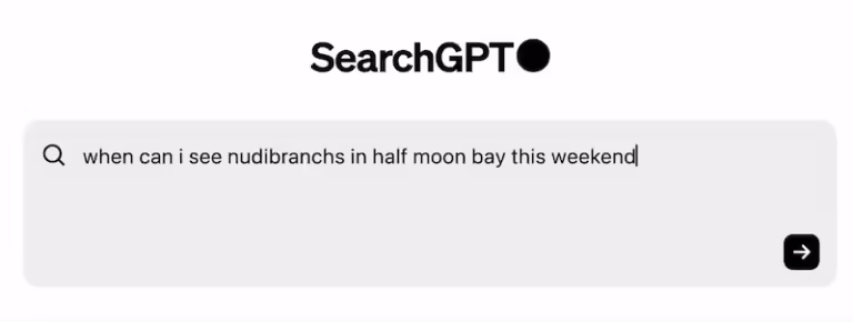 Wyszukiwarka SearchGPT. Czy Google upadnie?