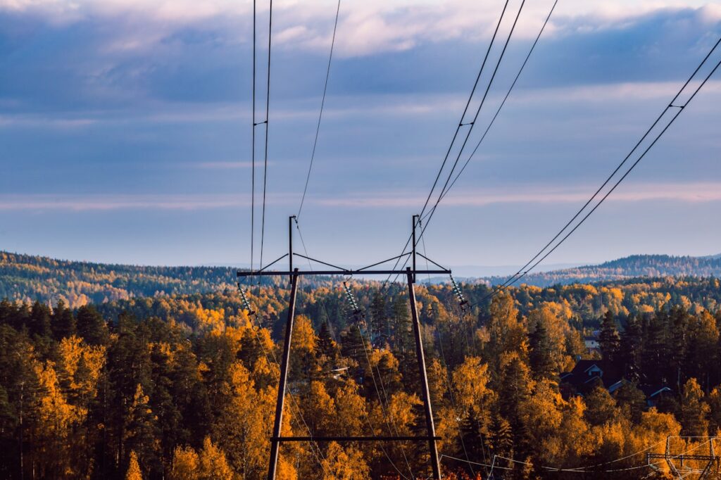 E.ON i SAP S/4HANA: jak AI modernizuje sieci energetyczne