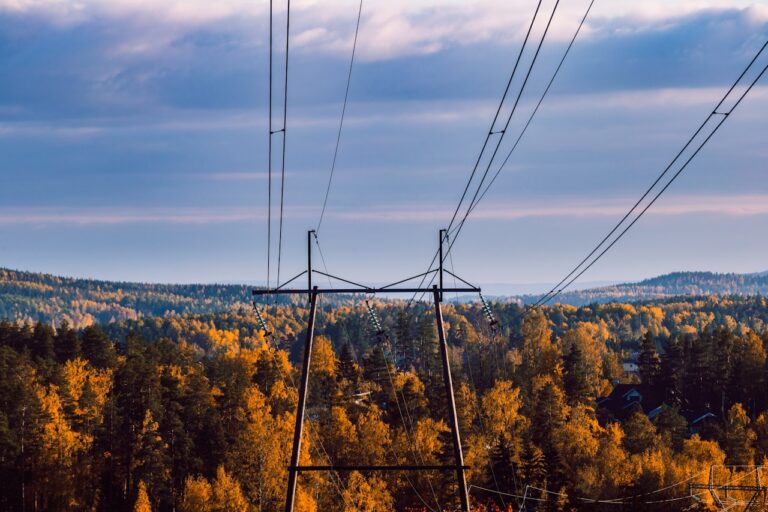 E.ON i SAP S/4HANA: jak AI modernizuje sieci energetyczne