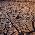 Susza hydrologiczna obejmuje połowę Polski. 61 ostrzeżeń IMGW