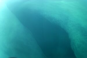 U-583 odnaleziony: wrak U-Boota po 85 latach na Bałtyku