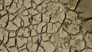 Ludzki ślad w obiegu wody na Ziemi – NASA pokazuje skalę